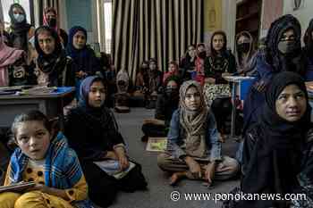 Two years into Taliban rule, Afghan women ask Canada for education and accountability