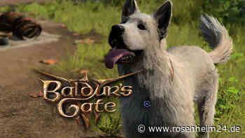 Hund Kratzer ist der beste Begleiter in Baldur‘s Gate 3