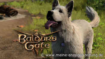 Hund Kratzer ist der beste Begleiter in Baldur‘s Gate 3