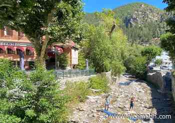 Pourquoi des origamis géants en forme d'oiseaux volent au-dessus de Puget-Théniers