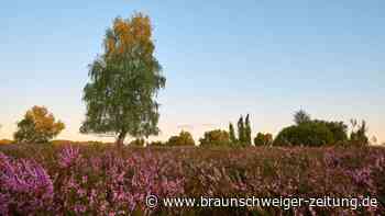 Urlaubsplanung: Zehn "Doppelgänger"-Orte, um Geld zu sparen