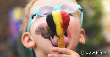 België in top vijf grootste ijsproducenten en -exporteurs van Europa