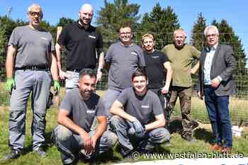 Willebadessen: Firma aus Paderborn schenkt dem Wildgehege Arbeitskraft