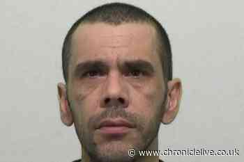 Albanian jailed after cannabis farm worth up to £126,000 was uncovered by police in Washington