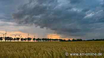 Deutscher Wetterdienst: Gewitter bringen große Regenmengen in kurzer Zeit