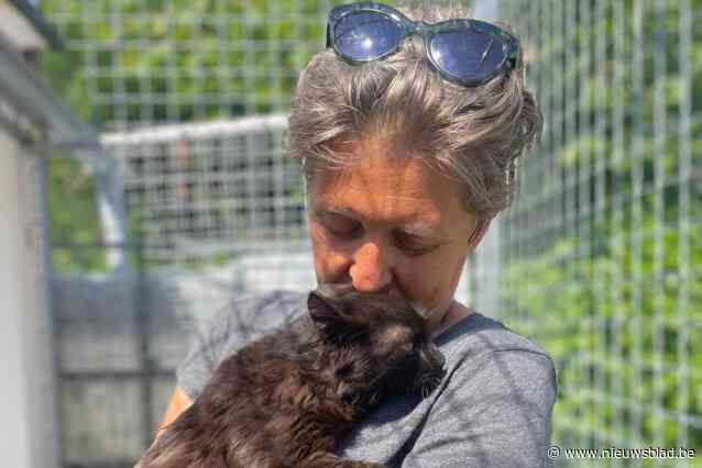 Toegewijde kattenmama crasht fysiek onder de zware druk en schrijft open brief aan Ben Weyts
