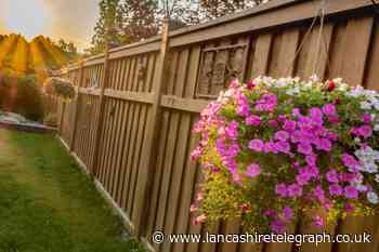 What side of the fence am I responsible for in the UK?