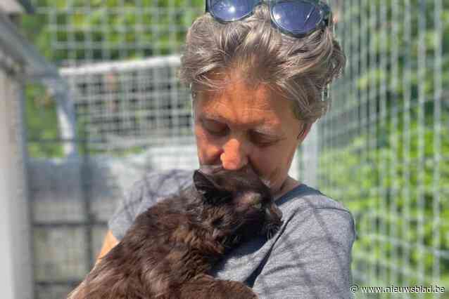 Toegewijde kattenmama crasht fysiek onder de zware druk en schrijft open brief aan Ben Weyts