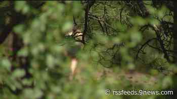 Dos hombres acusados de agresión sexual en senderos fueron arrestados esta semana