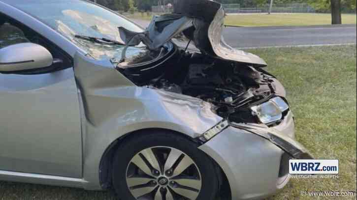 Tree branch from BREC park fell on car; driver says City-Parish should be responsible for damages