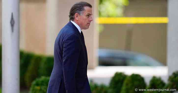 FBI Agent Drops Bombshell About Biden Transition Team, Secret Service Getting Tipped Off on Hunter Biden Interview Plans