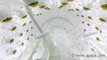 Researchers dig deep underground in hopes of finally observing dark matter