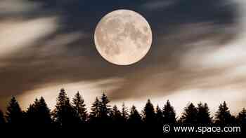 August Super Blue Moon guide 2023: The biggest and brightest moon of the year snuggles up to Saturn