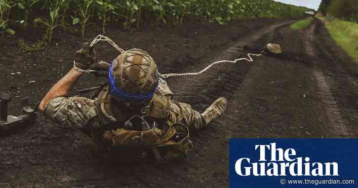 Ukraine desperate for help clearing mines, says defence minister