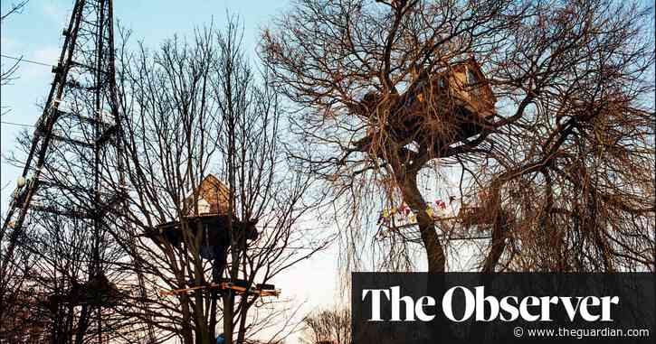 In the trees with 90s ecowarriors: Olivia Laing on Janine Wiedel’s protest photos