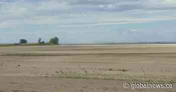 Irrigation to end early in southern Alberta