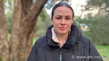 'Devastated' traditional owner's plea as $10,000 reward offered to find sacred tree vandal