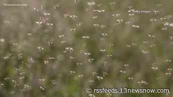 West Nile Virus and Eastern Equine Encephalitis detected in mosquitoes in Suffolk