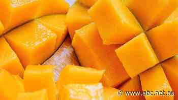 Fears proposed pesticide ban could lead to summer mango shortage