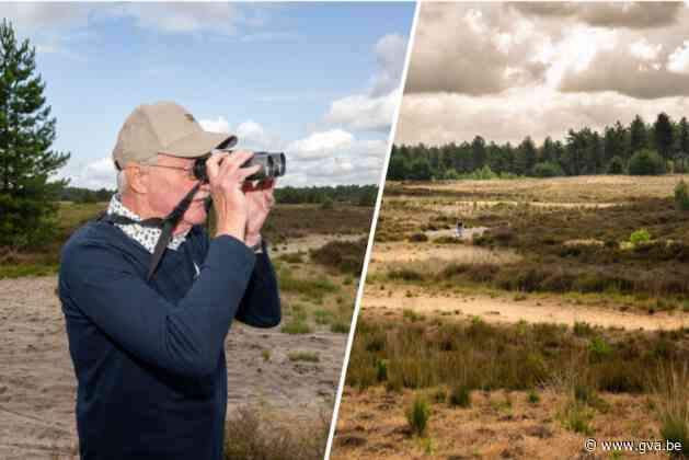 “De voorbije 40 jaar zijn al 21 vogelsoorten verdwenen”: de Brabantse Wal, het Nederlandse natuurgebied dat Ineos verstikt