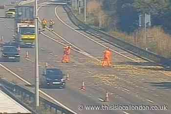Dartford Crossing M25 traffic due to watermelon spillage
