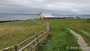 New program aims to promote Gaelic culture through Nova Scotia businesses