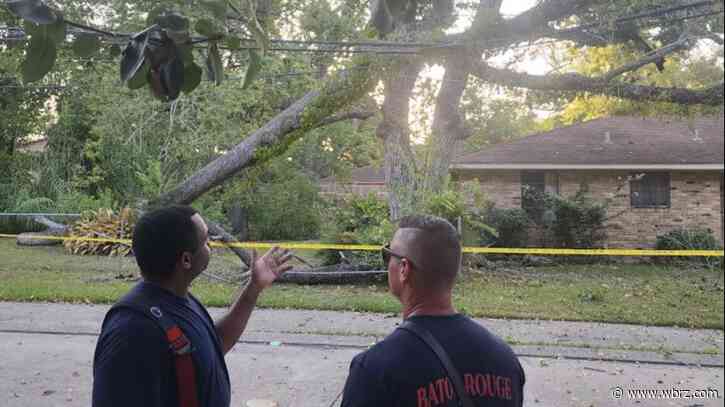Tree falls on powerlines, causes power surge fire that displaces three