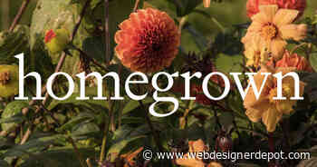 20 Best New Websites, August 2023