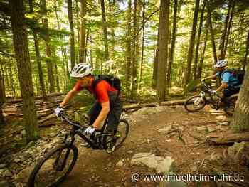 Fünftes Änderungsverfahren des Landschaftsplans "Mountain- und Dirtbike-Strecke Broich"