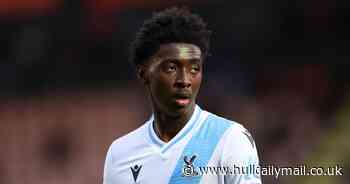 Crystal Palace boss Roy Hodgson makes Jesurun Rak-Sakyi plea amid Hull City's transfer offer