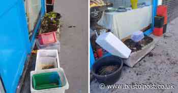 Bristol restaurant owner 'shocked' after beloved vegetable garden tipped over