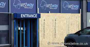 Car smashes into Newcastle vets while clients and pets sat in waiting room