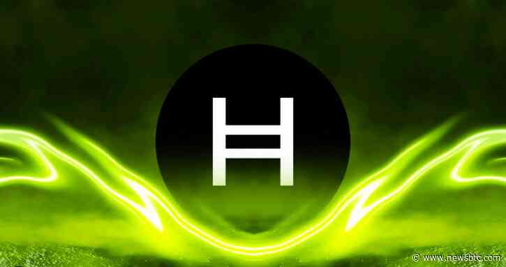 Hedera (HBAR) Blooms 21% – Uncloaking The Factors Behind The Rise