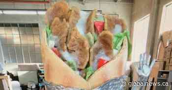 Edmonton restaurant chain presents winning bid at auction for donair costume