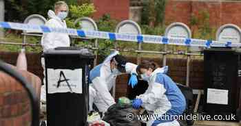 Full police statement as murder investigation launched and man arrested following Gateshead tower block death