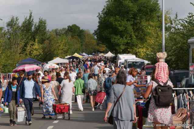 Duizenden bezoekers speuren langs 6 kilometer lange rij standhouders naar antiek en andere koopjes