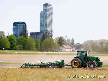 Denley: Let's be bold and turn the Central Experimental Farm into a boon for all of Ottawa