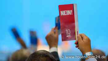 Politikerin kündigt AfD-Austritt an und zieht Vergleich: „Genau so wurde auch die NSDAP groß“
