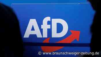 AfD-Stadträtin kündigt Austritt an und zieht NSDAP-Vergleich