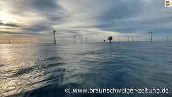 TU Braunschweig: Offshore-Windenergie soll nachhaltiger werden