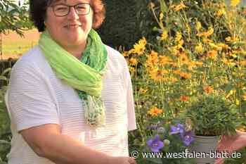 Landfrauen bieten Pflanzenflohmarkt in Beverungen an