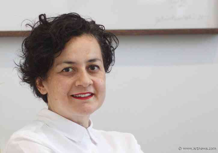 Dealer Curating Venice Biennale’s Turkish Pavilion Quits to Avoid ‘Conflicts That May Arise’