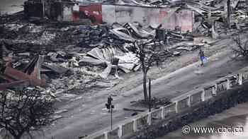 Why were the Maui wildfires so deadly? | About That