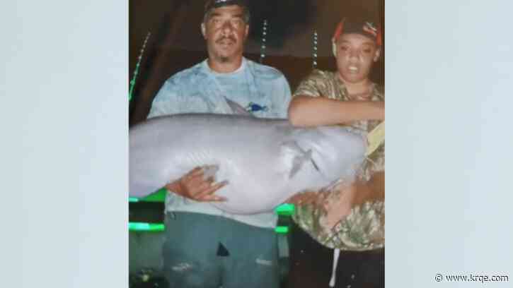 'It's a monster!' Teen catches 108-pound catfish on the Missouri River