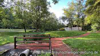 50 Jahre Kurpark Wieda: Konzert und Feier zum Geburtstag