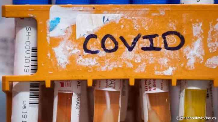COVID-19 activity showing early signs that it may be increasing, new PHAC data says