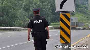 Young girl mauled by 3 dogs while viewing puppies for sale in Newmarket, Ont.