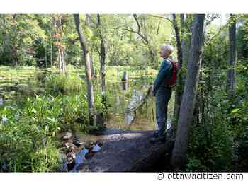 Popular Mud Lake trails to close until December for rehabilitation project