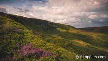 What Photographers Want Versus What They Need