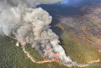 Fire crews making progress on blaze outside Kamloops despite heat